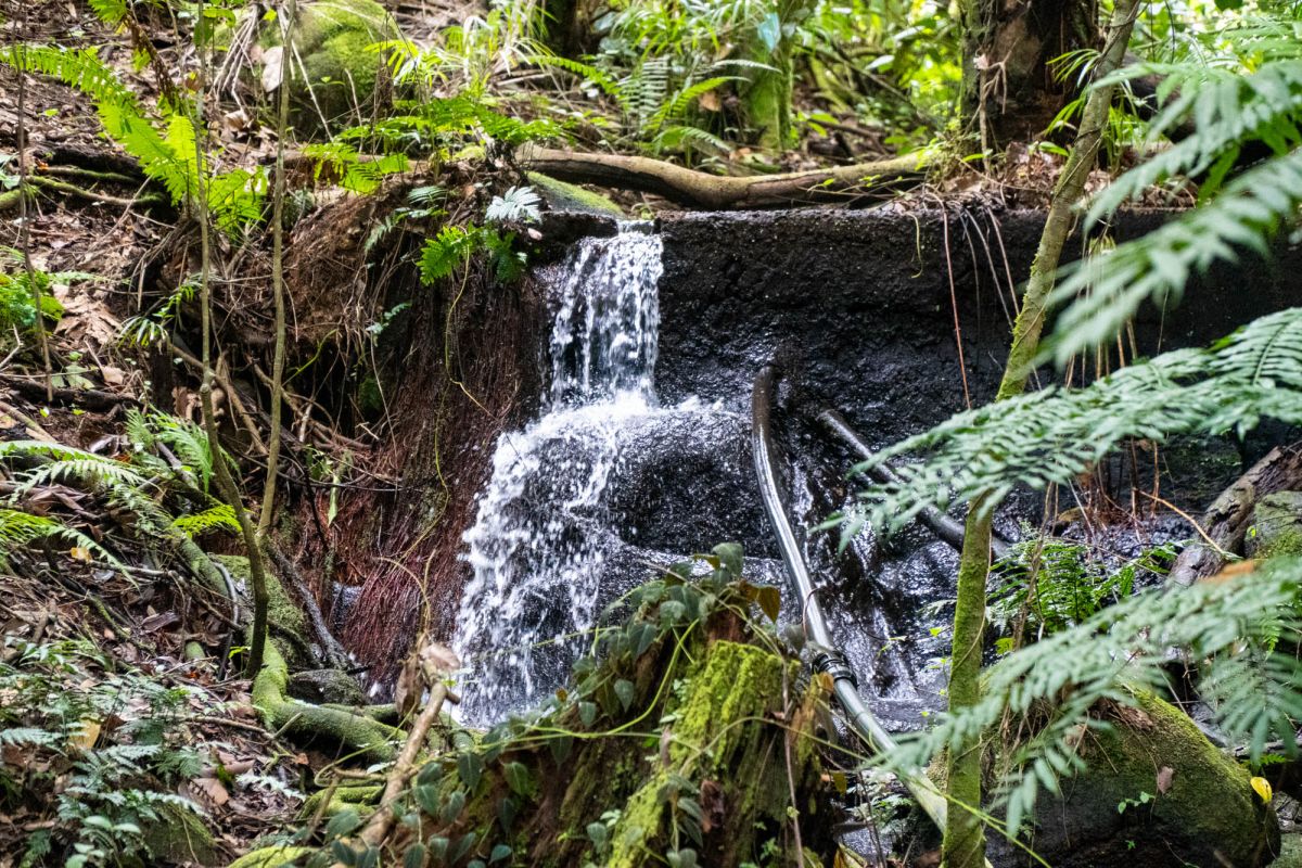 Салази Трейл