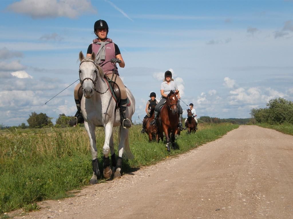Хутор конного туризма «Сасси»