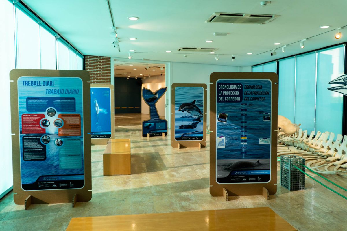 Музей естественных наук