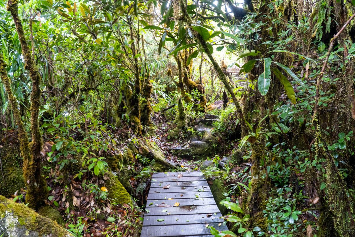 Национальный парк Морн Сейшелуа