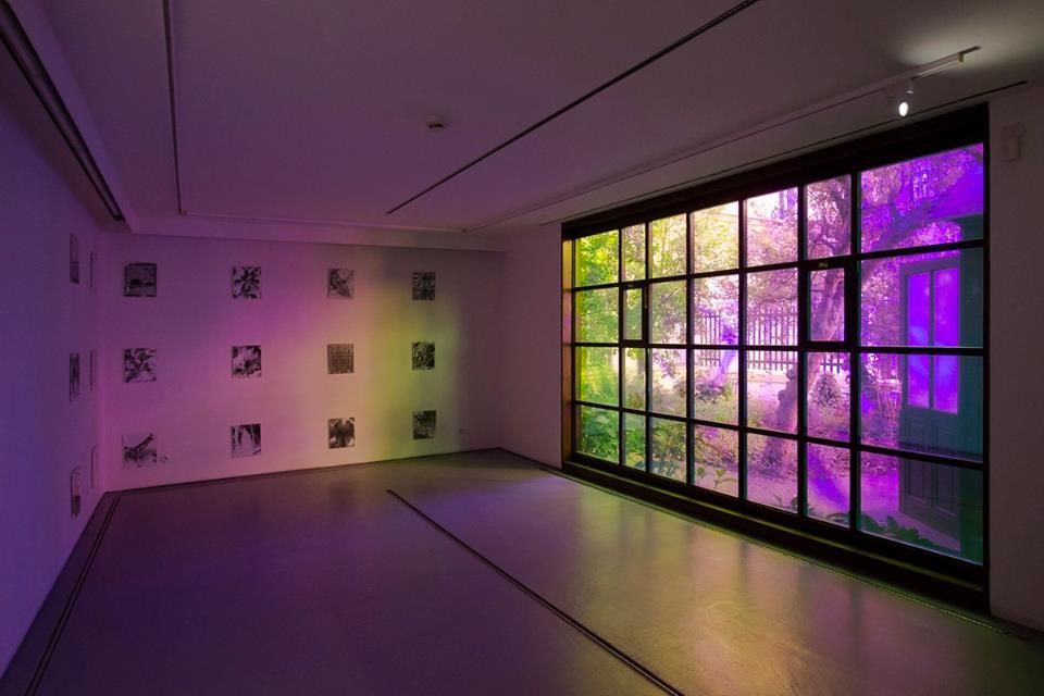 Студия Йозефа Судека