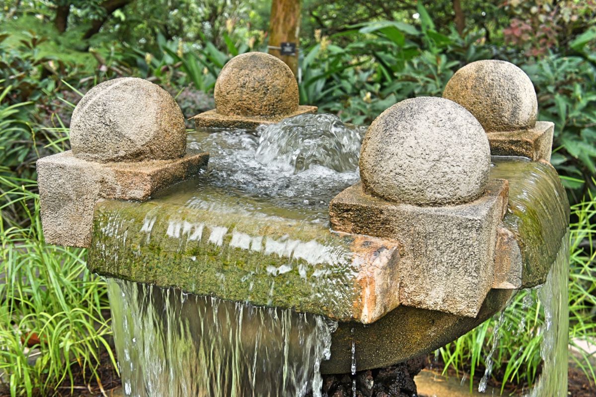 Сингапурский ботанический сад