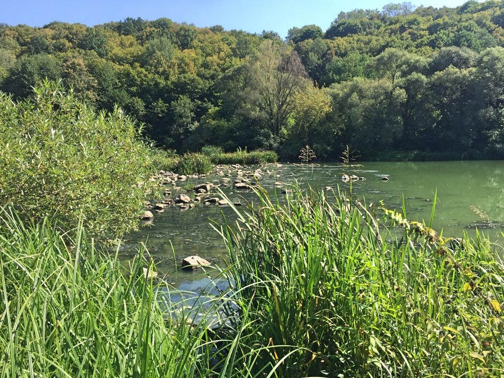 Река Тетерев