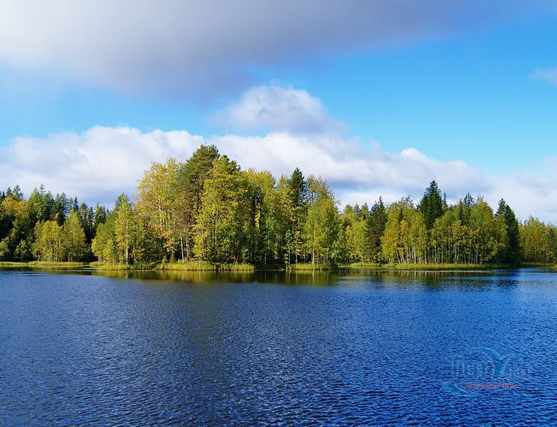 Пинежский заповедник