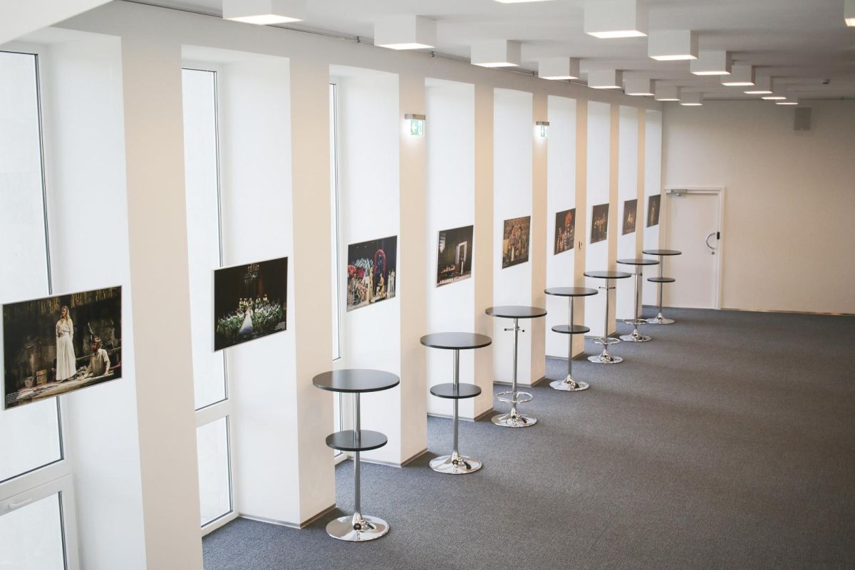 Театр «Ванемуйне»