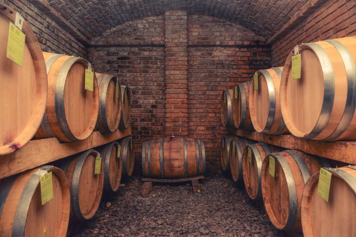 In vino veritas: вина Сремских Карловцов фото