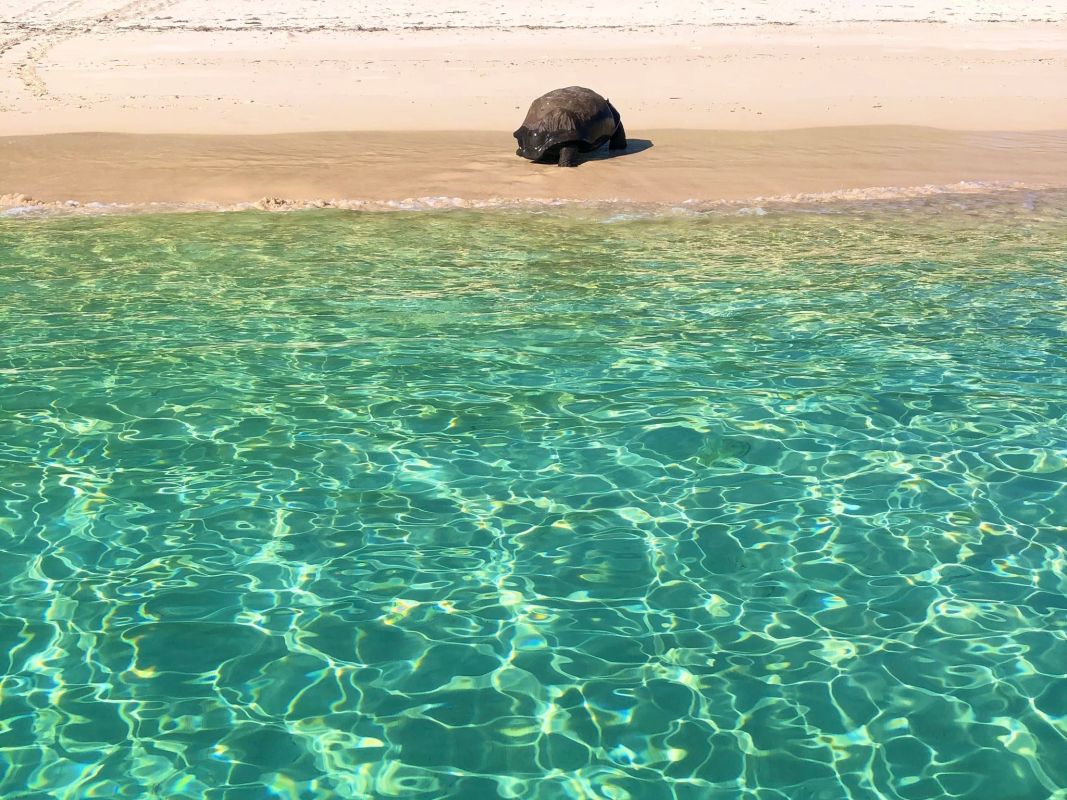 Морской национальный парк Кюрьёз