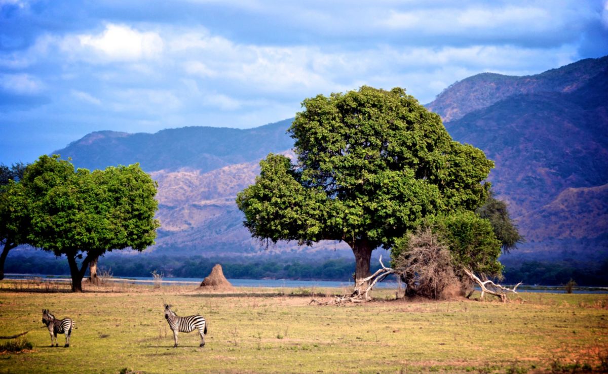 Национальный Парк Мана-Пулс