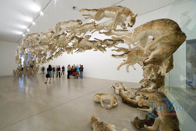 Музей Дойче Гуггенхайм Берлин