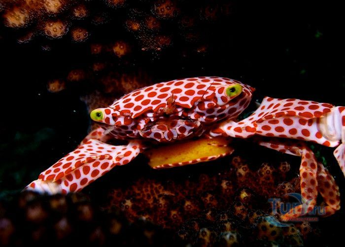 Национальный Морской Парк и Заповедник Ватаму