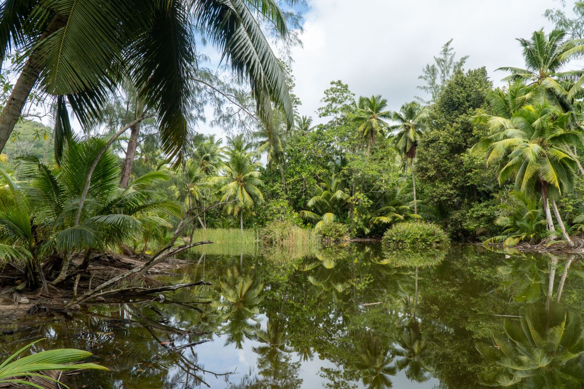 Пляж Анс Интенданс