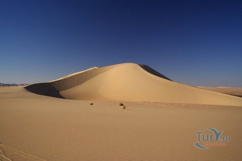 Ливийская Пустыня