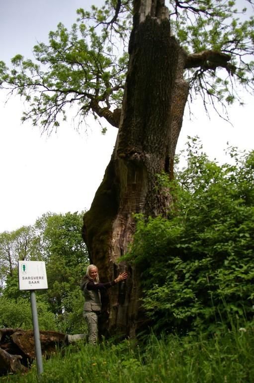 Мыза Саргвере