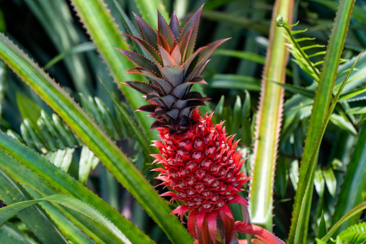 Гласис Ла Резерв Трейл