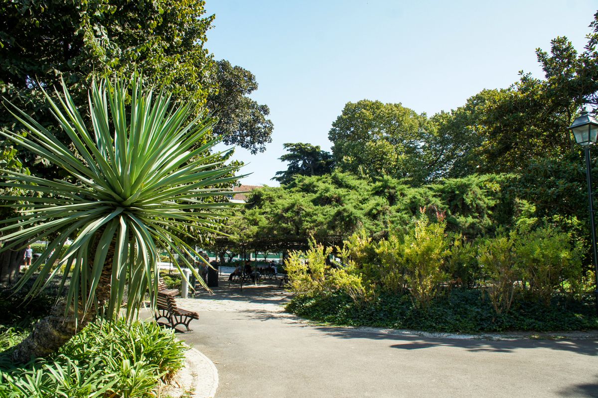 Ботанический сад Лиссабона