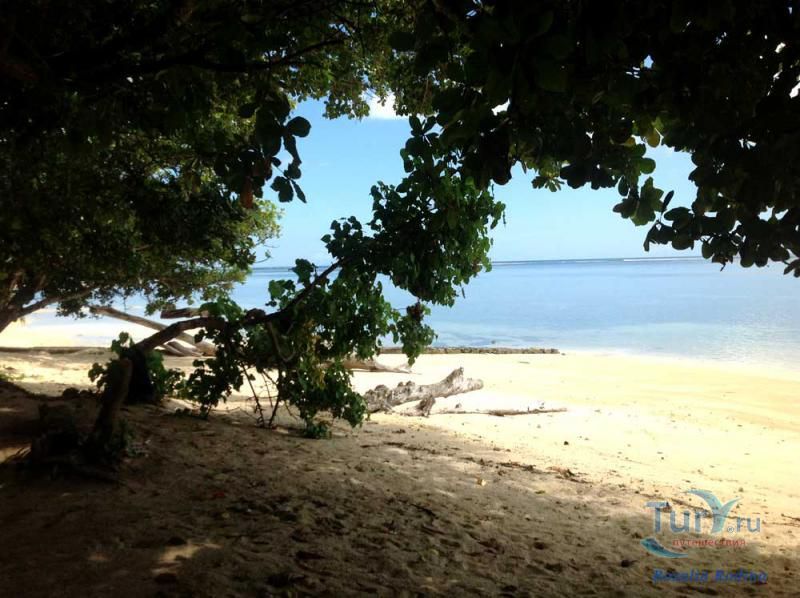 Пляж Анс-о-Пен и бухта Тартл