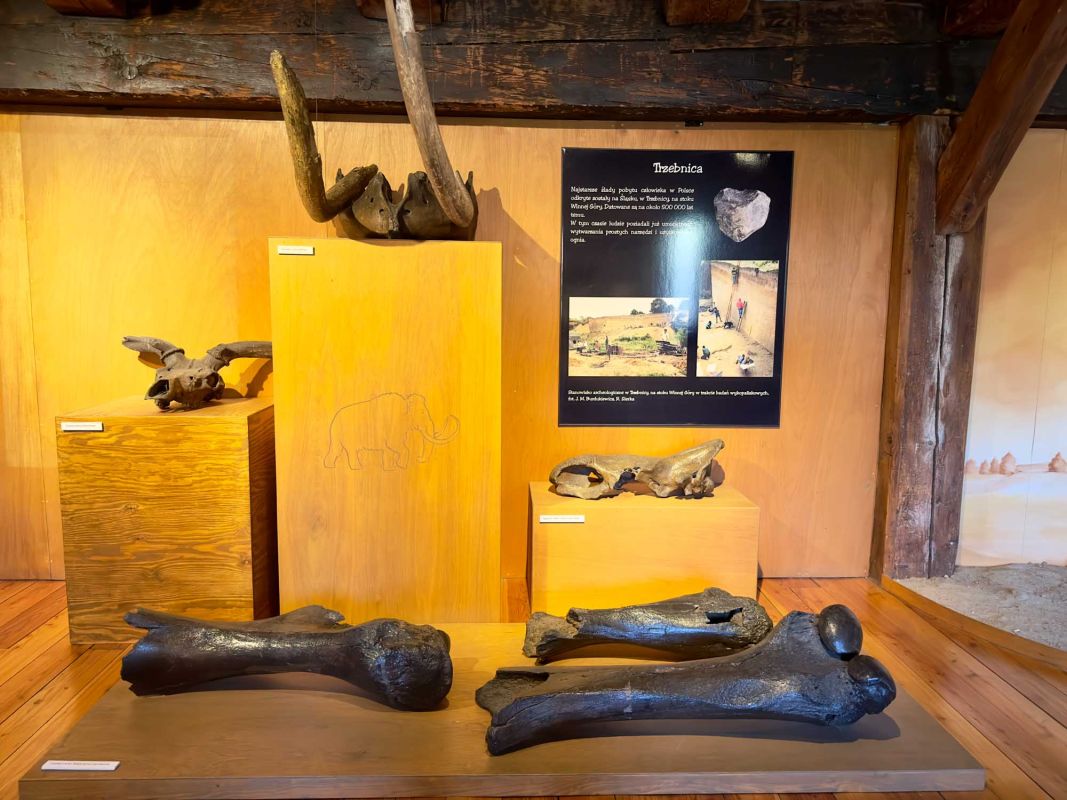Вроцлавский археологический музей