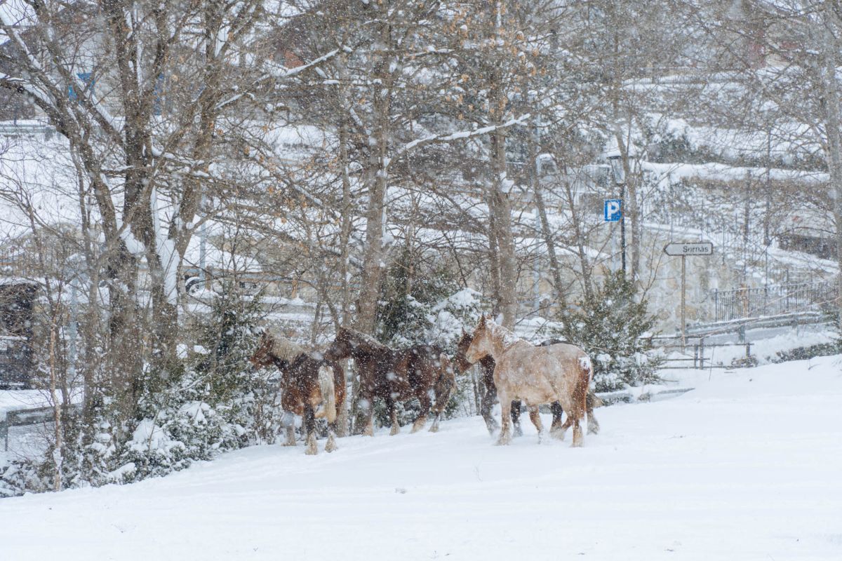 Ла-Кортинада