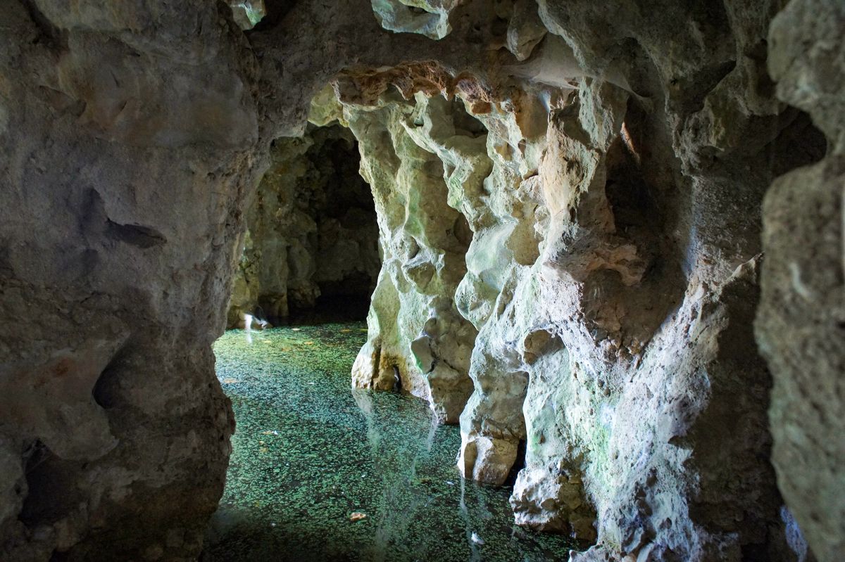 Дворцово-парковый комплекс Кинта да Регалейра