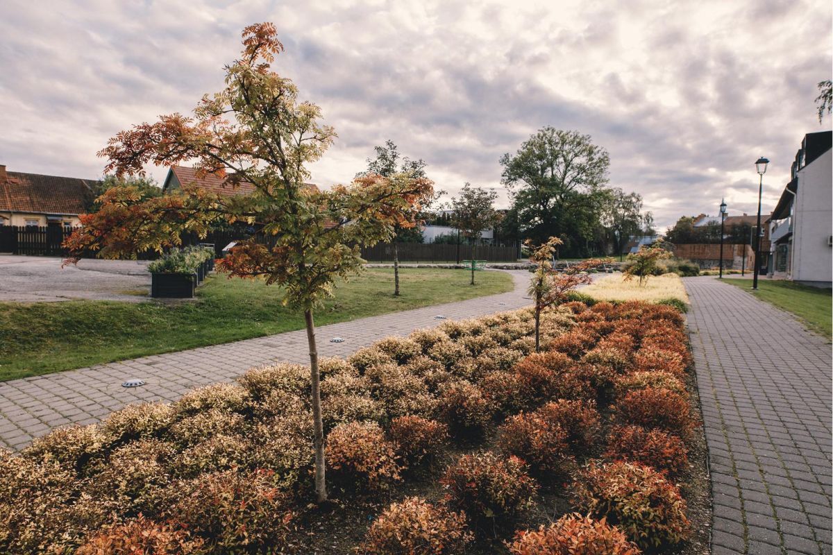 Сад «Аркадия»
