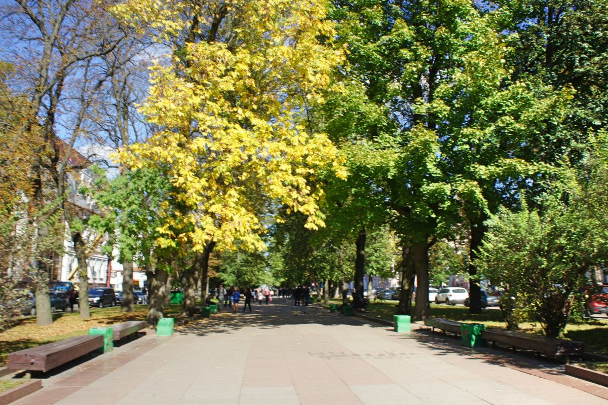 Старый бульвар