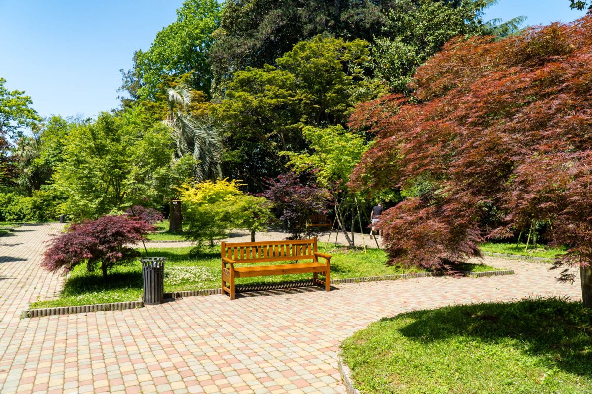 Батумский ботанический сад