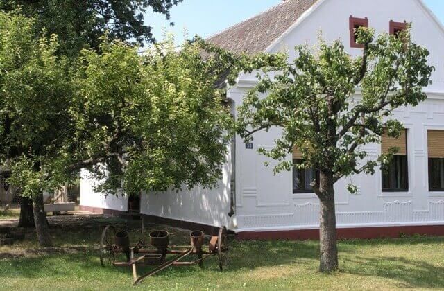 Митин салаш