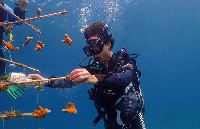 Южная Британия и Джонас (South Britannia and Johnas)