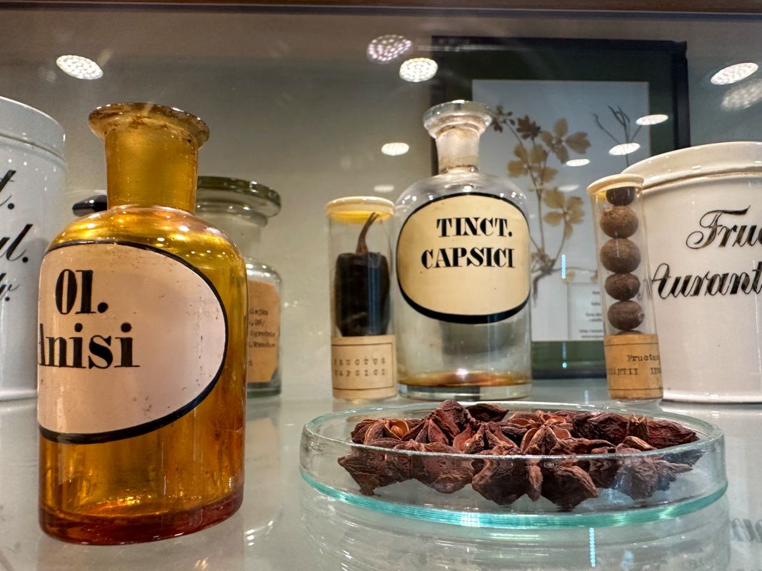 Аптекарский музей во Вроцлаве