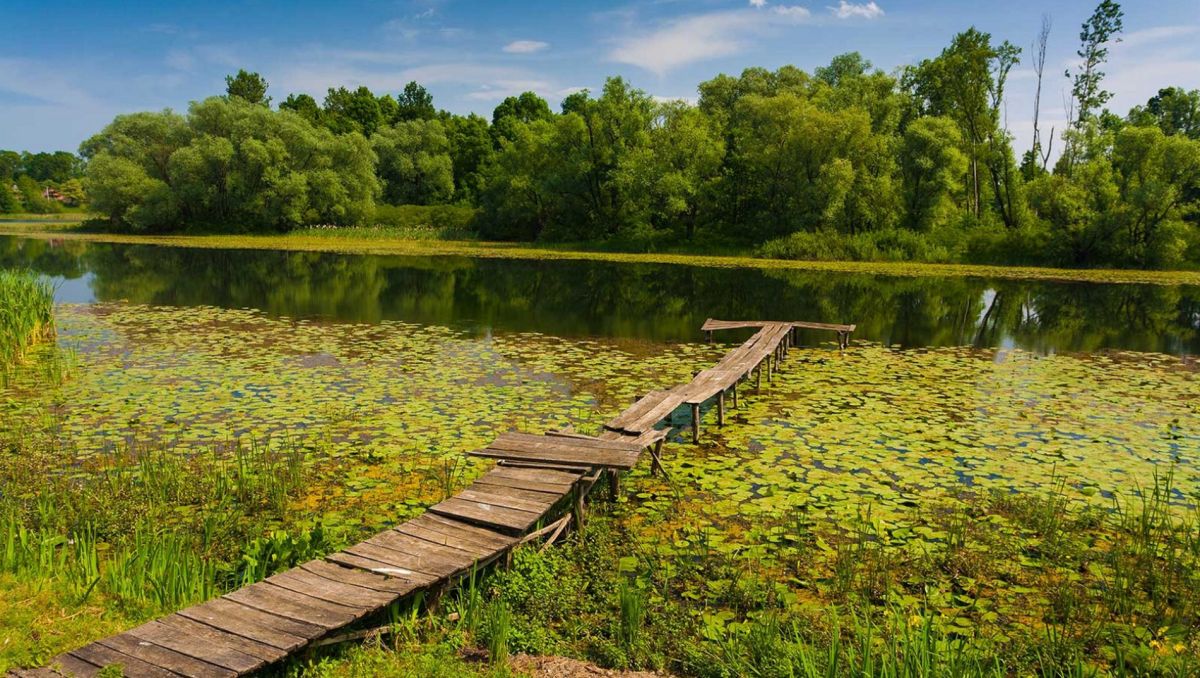 Природный парк Лоньско Поле