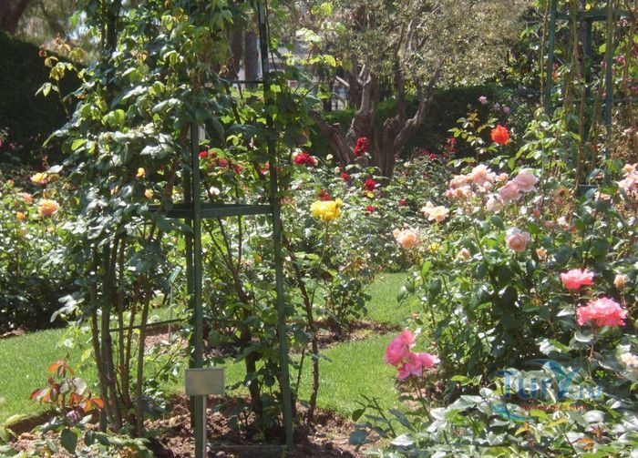 Пейзажный Парк Фонвьей и Розарий Принцессы Грейс