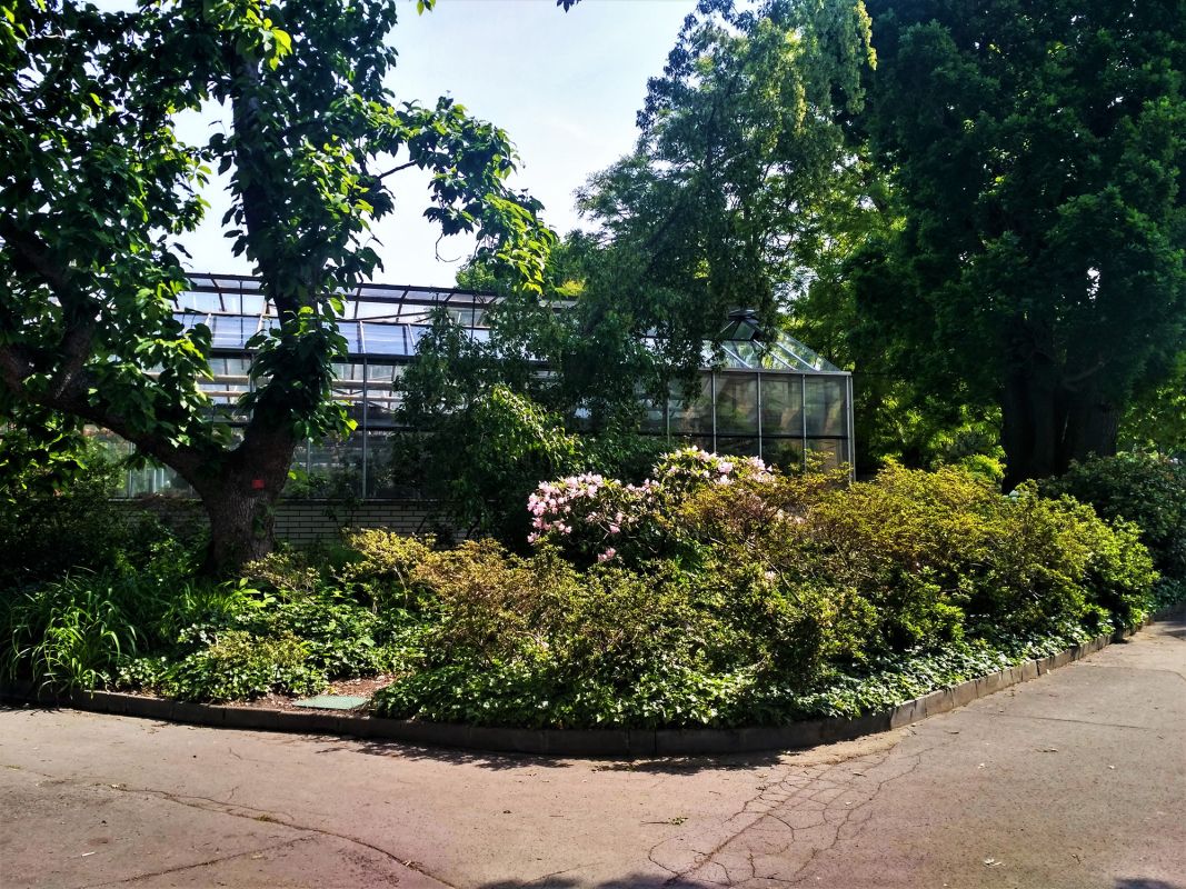 Ботанический сад природоведческого факультета Карлова университета