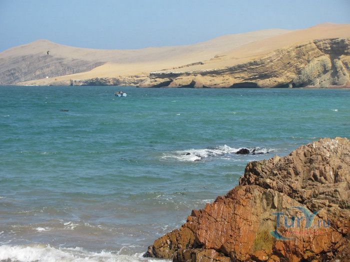 Национальный Заповедник Паракас