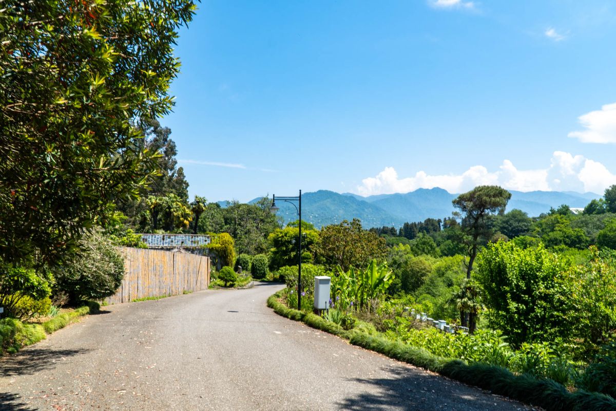 Батумский ботанический сад