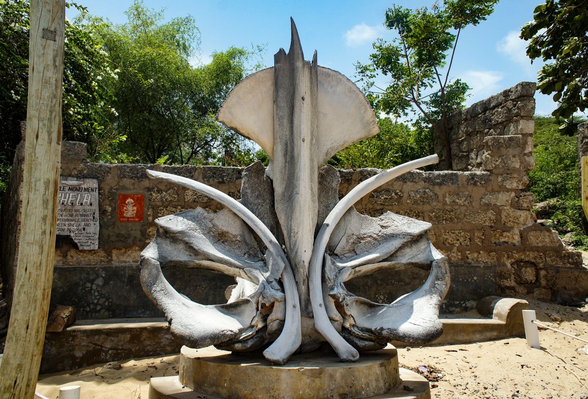 Msafini MangoTop Roof Hotel