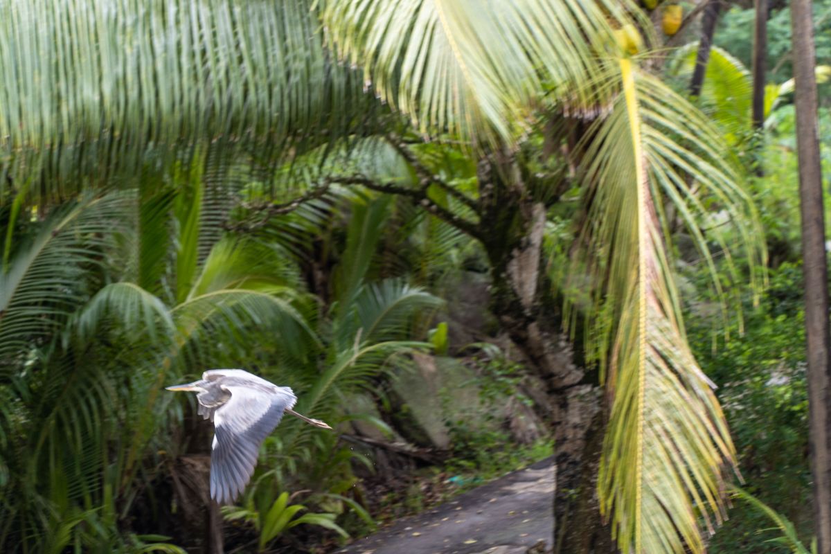 Пляж Анс Интенданс