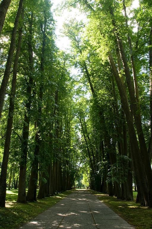 Парк Юленурме