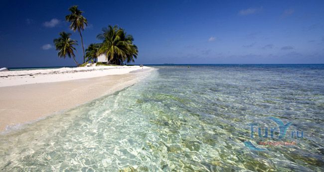 Морской Заповедник Гладден Спит и Силк Кейс (Gladden Spit and Silk Cayes Marine Reserve)