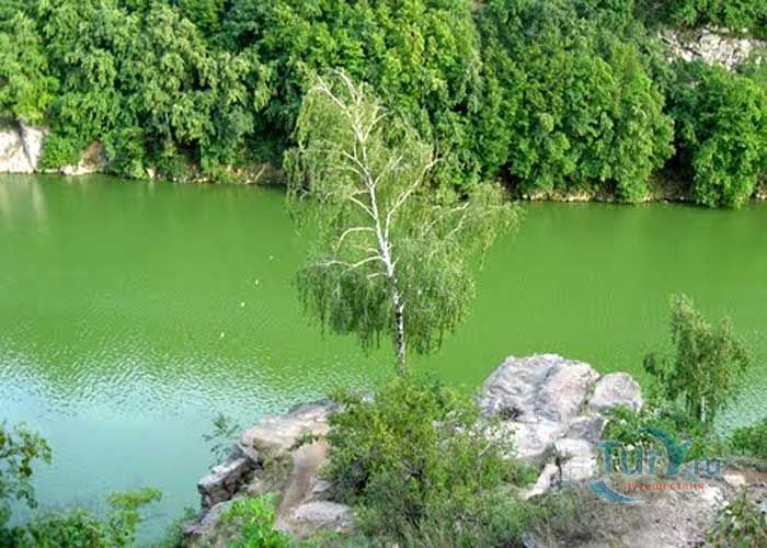 Голова Чацкого