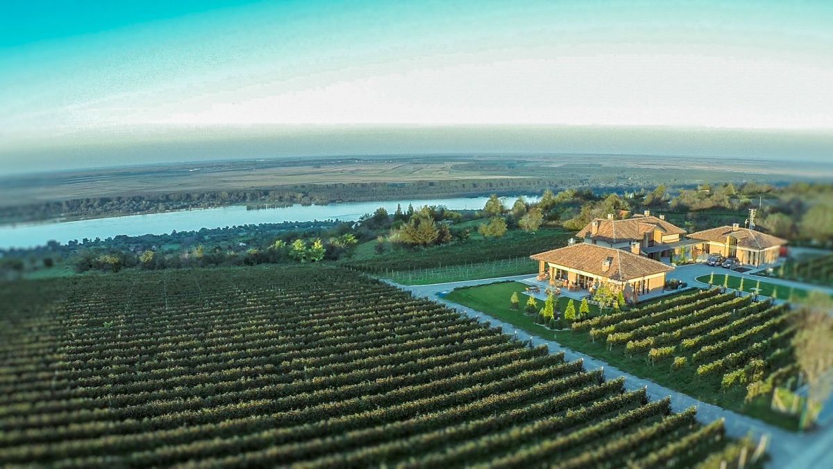 Винное ателье «Šapat»