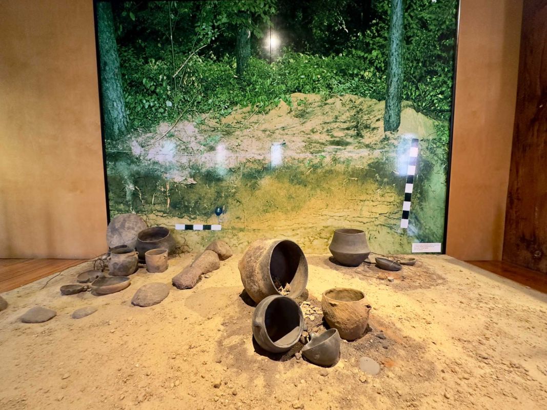 Вроцлавский археологический музей