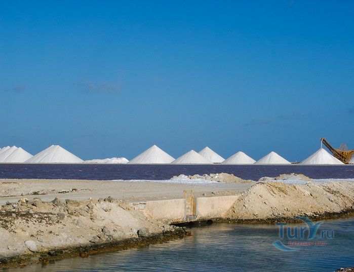 Соляные Копи Бонайре