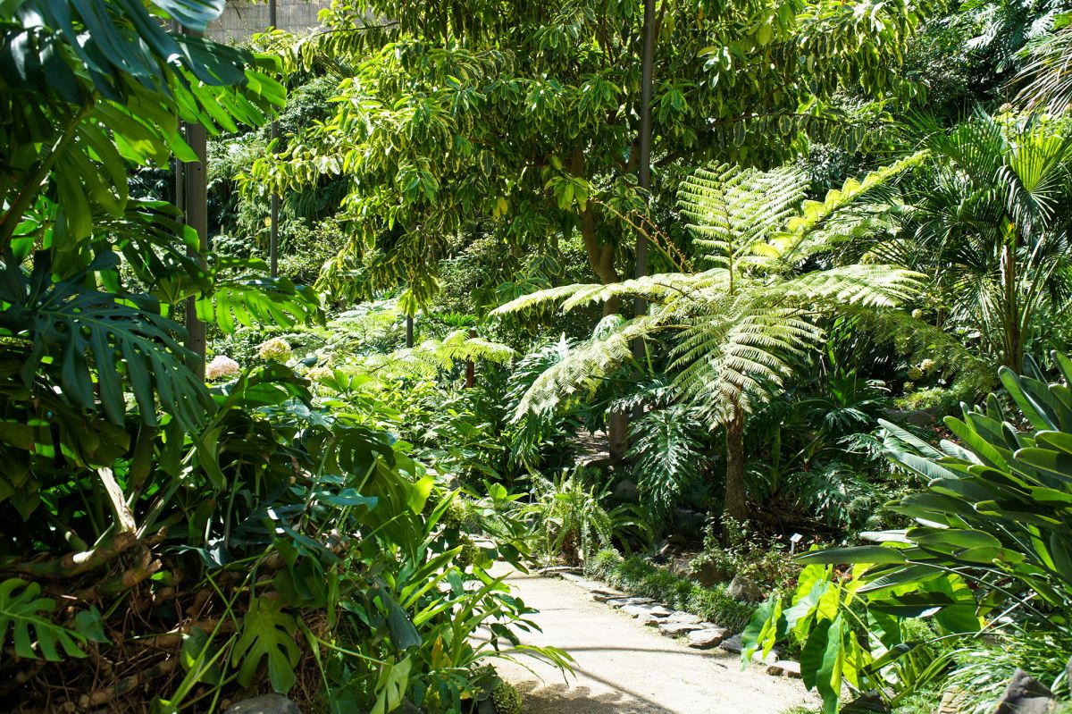 Парк Эдварда VII и Эстуфа Фриа 