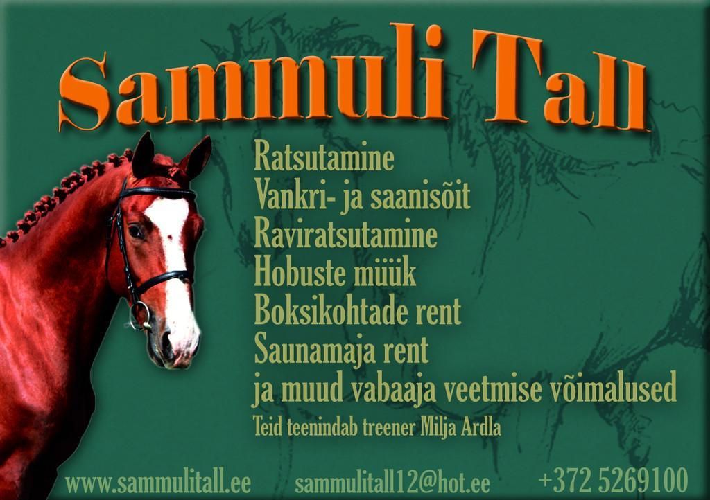 Конюшня Саммули