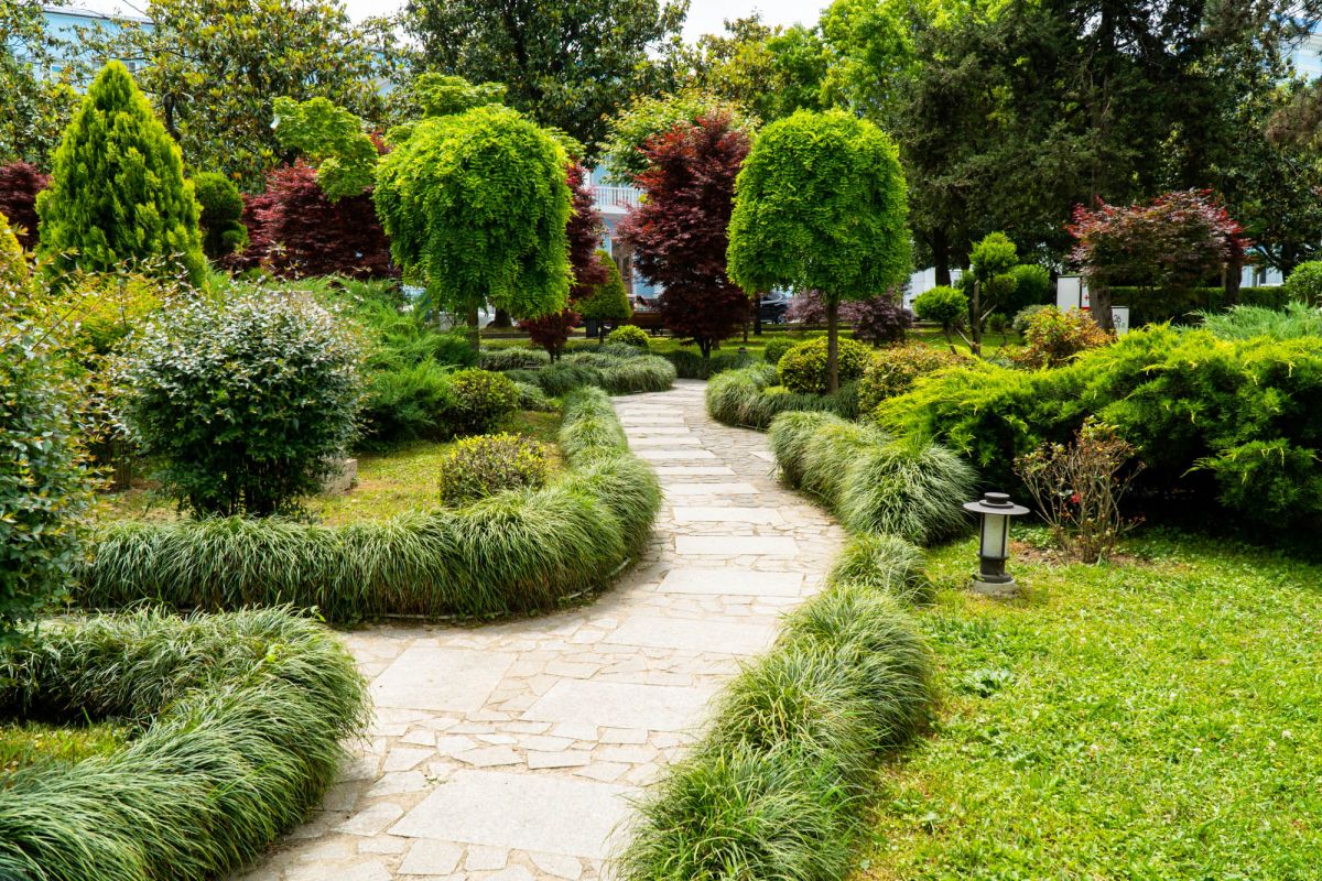 Японский сад в Батуми