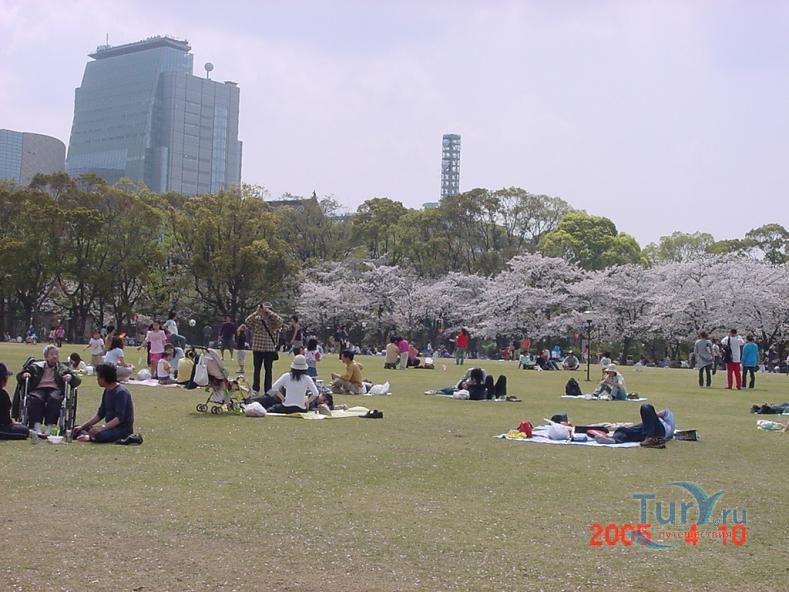 Парк Замка Осаки