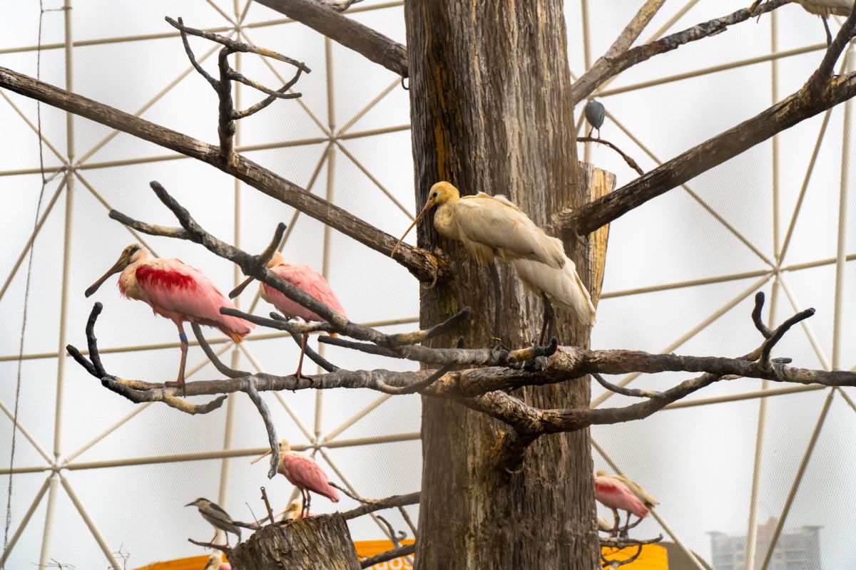 Океанографический парк Валенсии