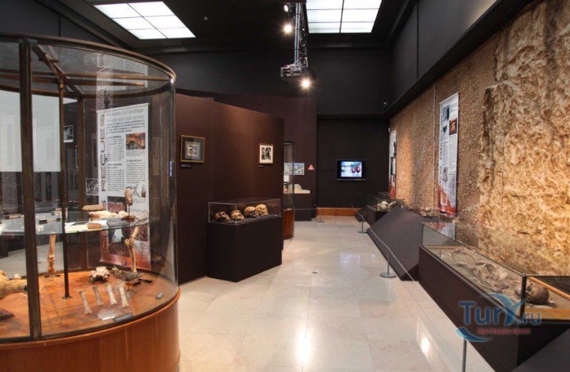 Музей доисторической антропологии