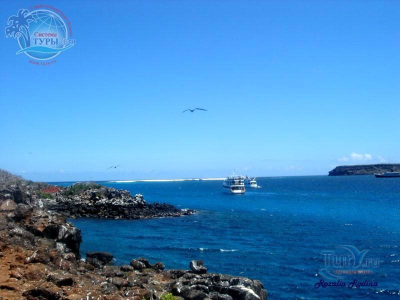 Остров Москуэра (Mosquera)