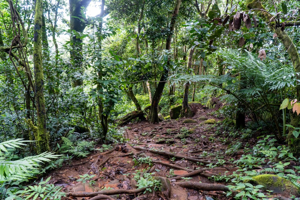 Национальный парк Морн Сейшелуа